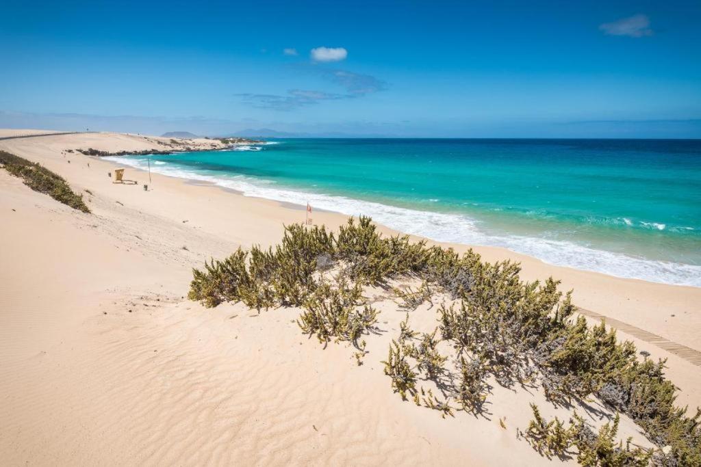 Los Majos Fuerteventura Тарахалехо Экстерьер фото